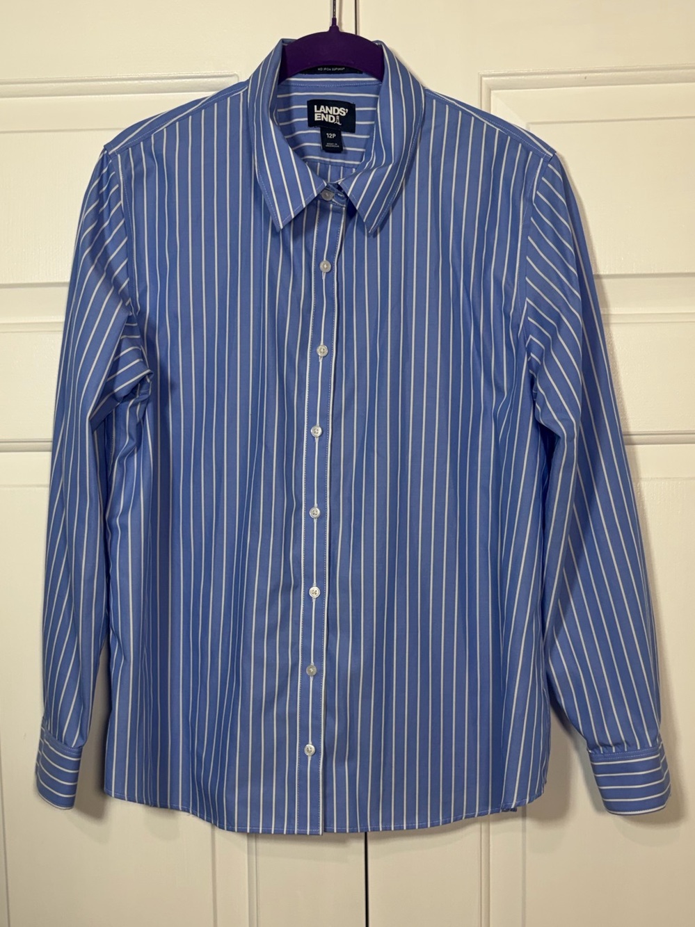 Lands' End Blue and White Striped Button Down Shirt